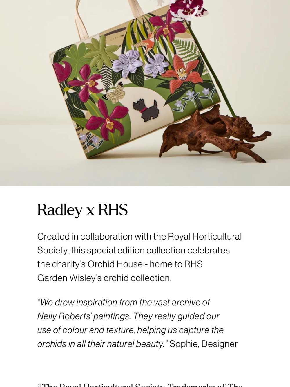 Radley London Botanical Appliqué Tote in Cream and Green. Collectible - Picture 6 of 14